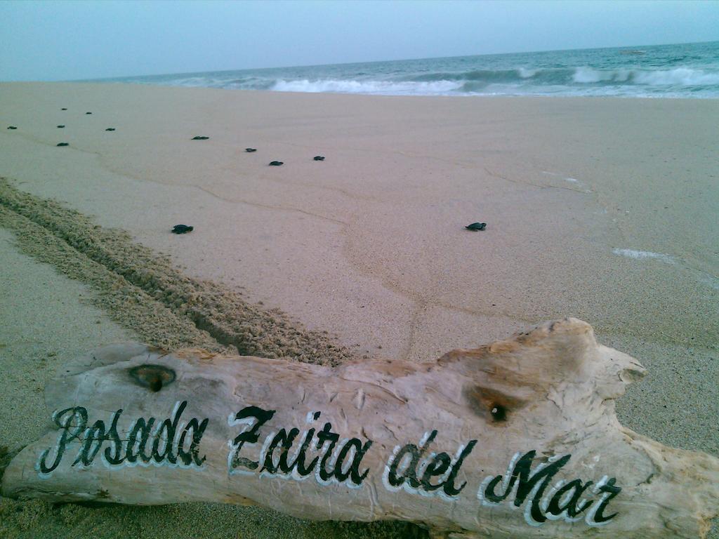 Posada Zaira Del Mar Coyuca Luaran gambar